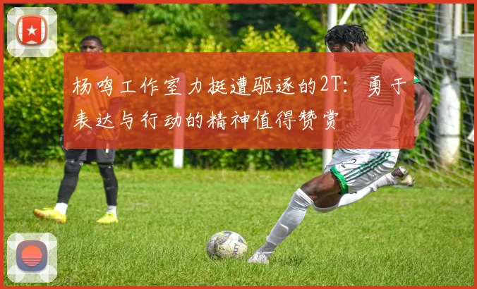 杨鸣工作室力挺遭驱逐的2T：勇于表达与行动的精神值得赞赏