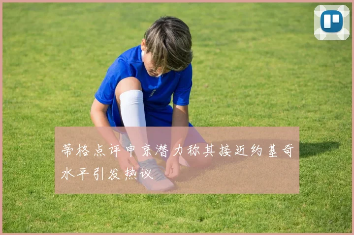 蒂格点评申京潜力称其接近约基奇水平引发热议