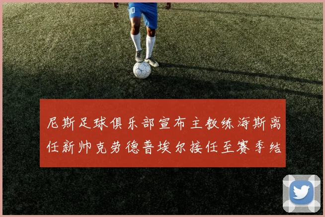 尼斯足球俱乐部宣布主教练海斯离任新帅克劳德普埃尔接任至赛季结束
