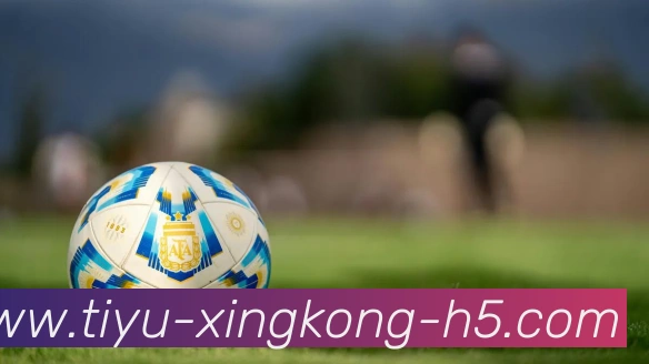 星空体育发展历程